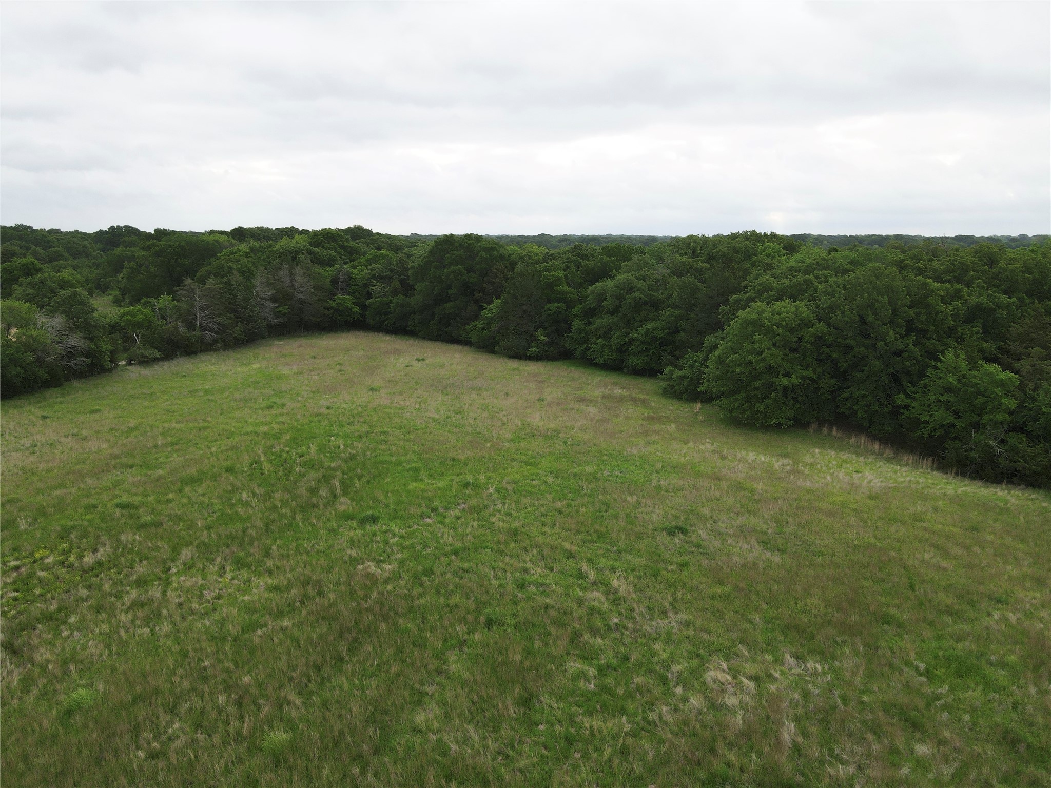 Tbd County Road 1145 Ravenna TX 75476