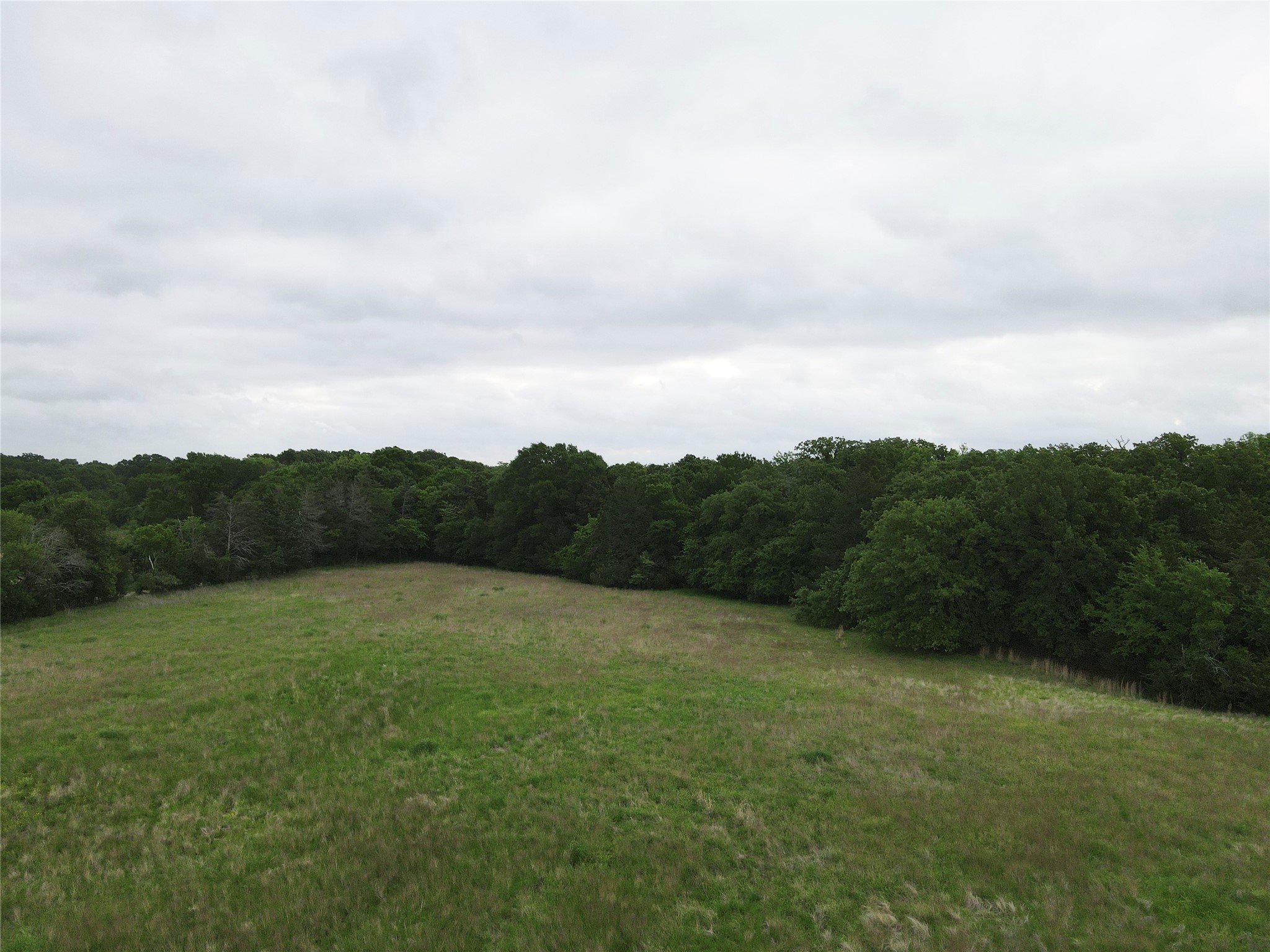 Tbd County Road 1145 Ravenna TX 75476
