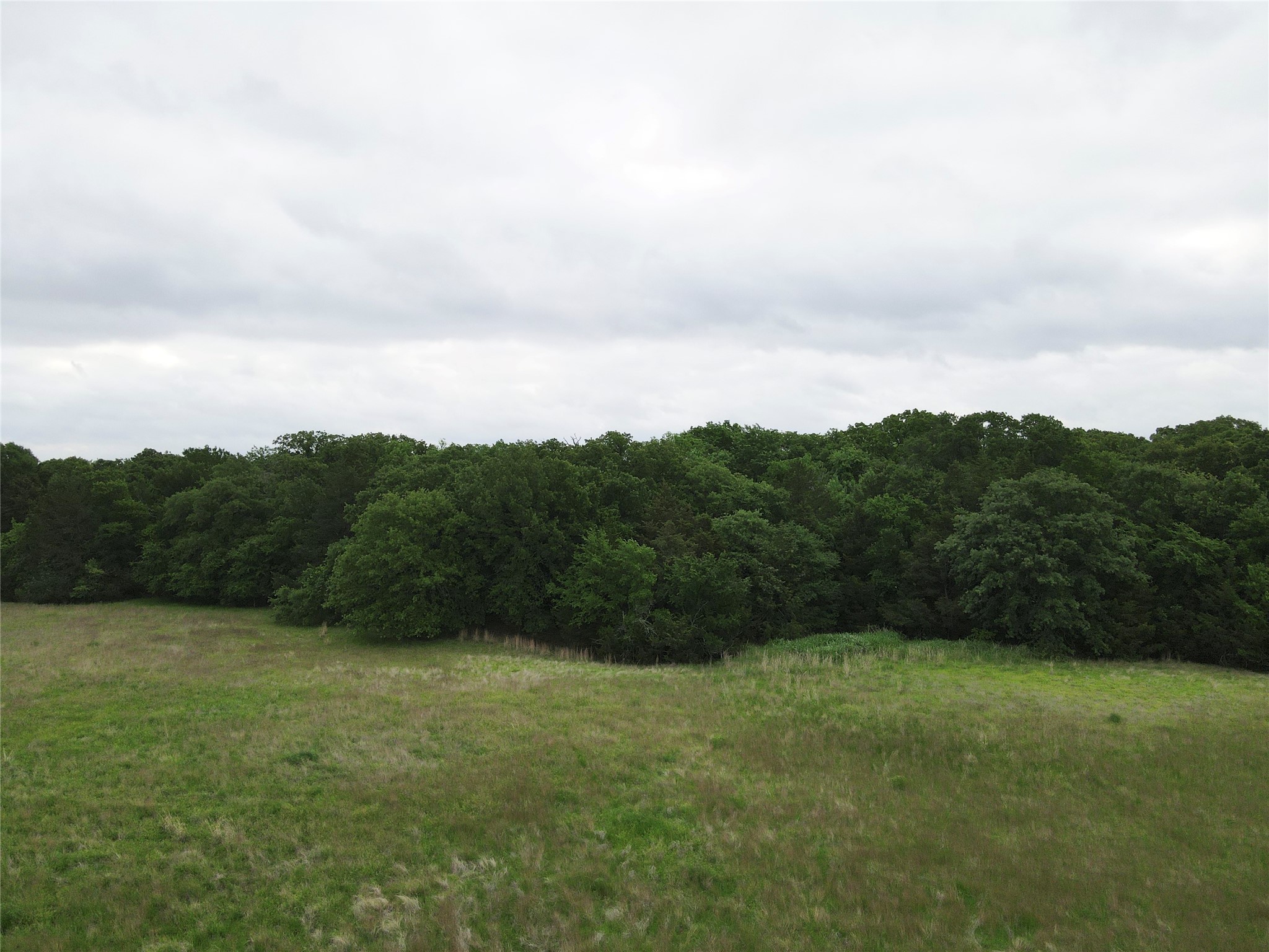 Tbd County Road 1145 Ravenna TX 75476
