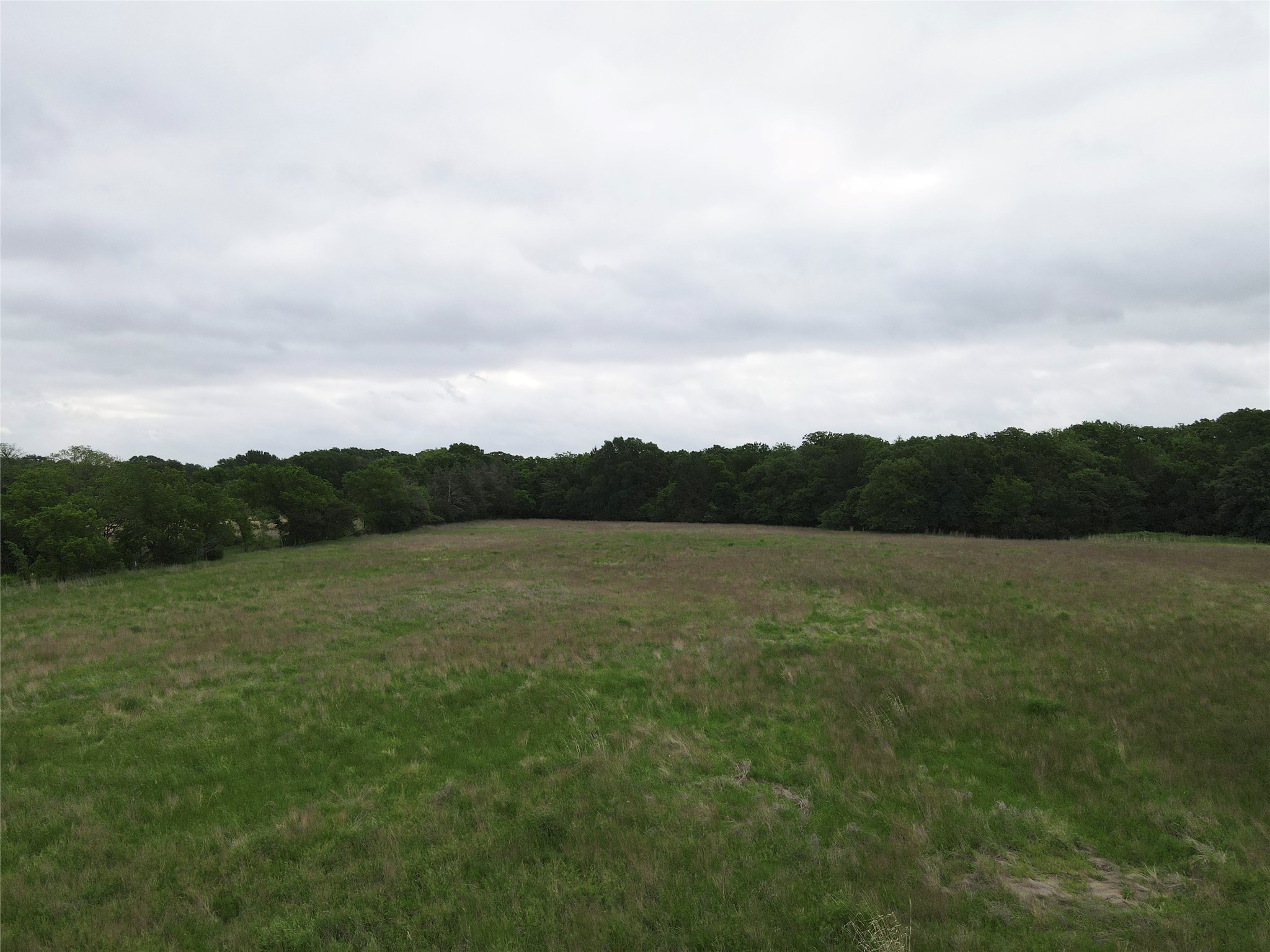 Tbd County Road 1145 Ravenna TX 75476