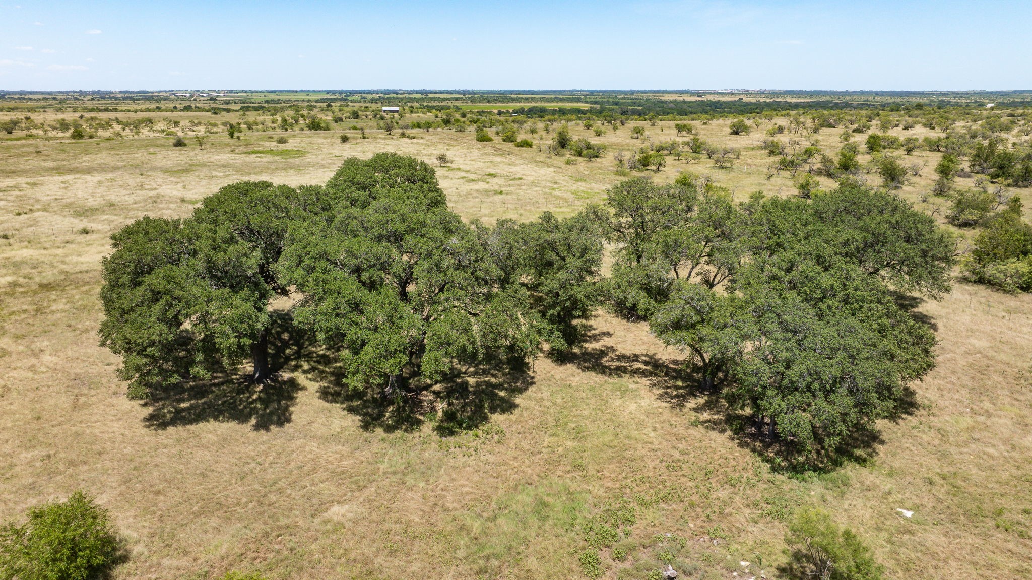 Tbd Fm 2823 Dublin TX 76446