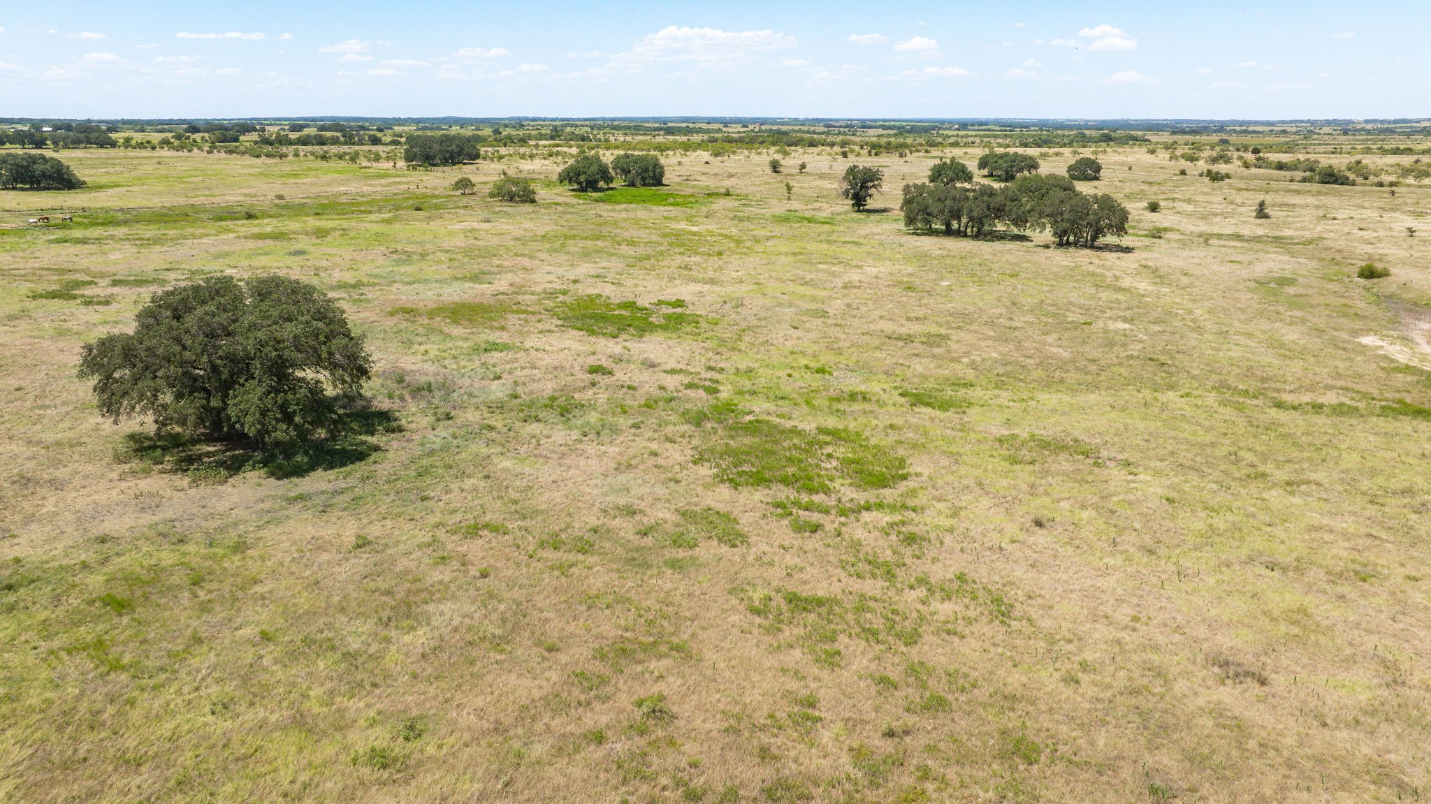Tbd Fm 2823 Dublin TX 76446