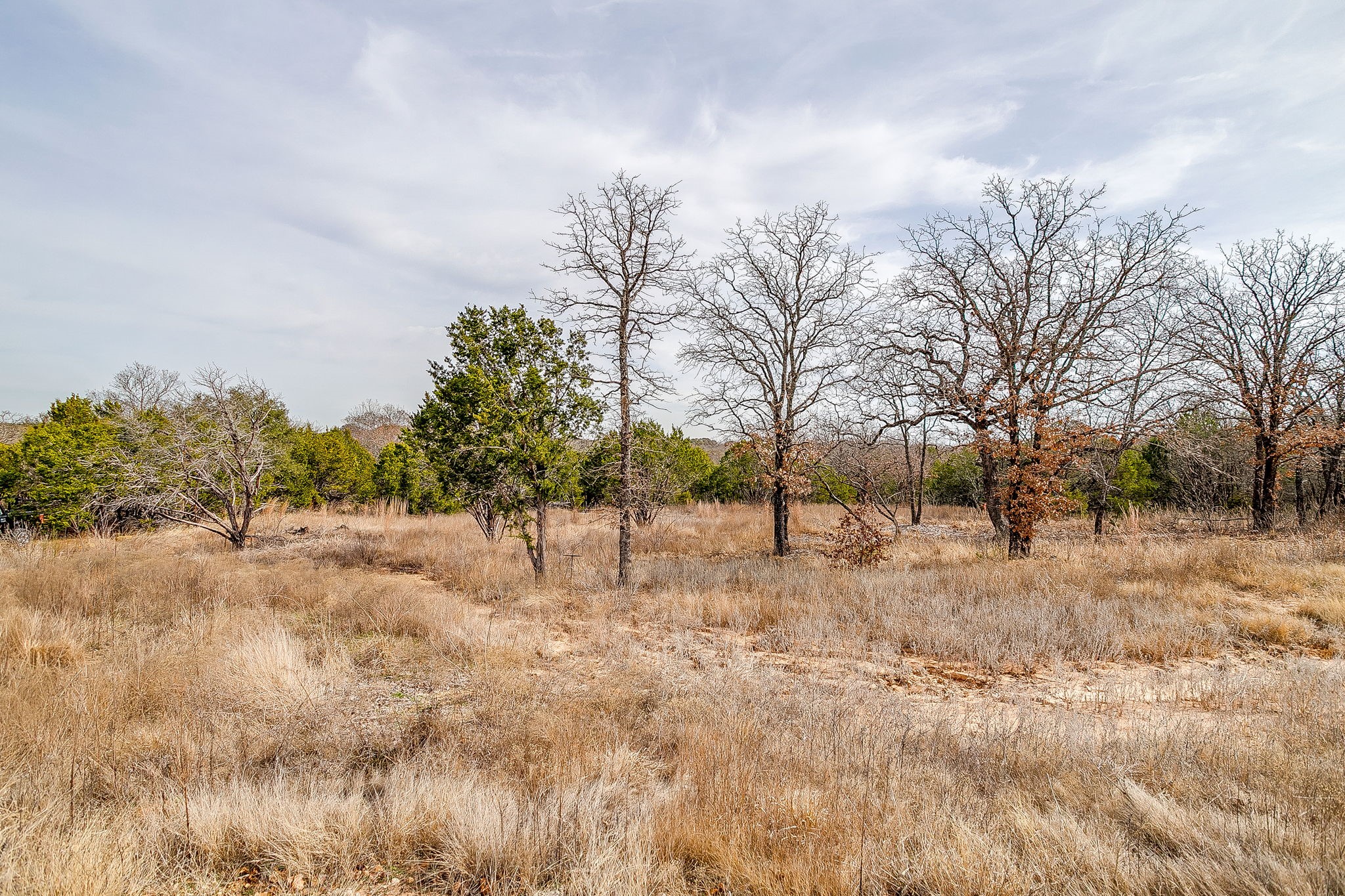 1024 Rose Court Nemo TX 76070