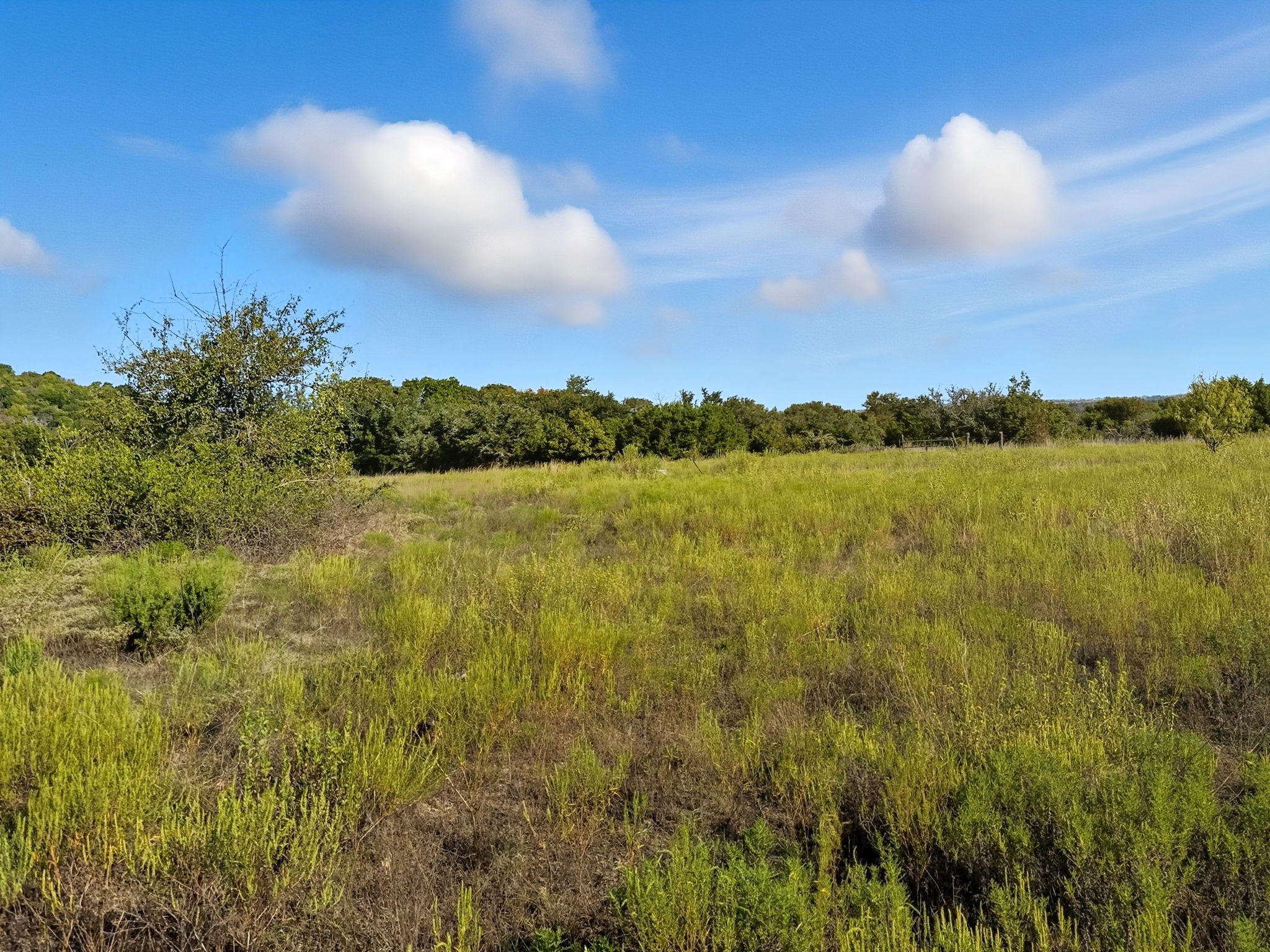 Tbd Fm 221 Pottsville TX 76565
