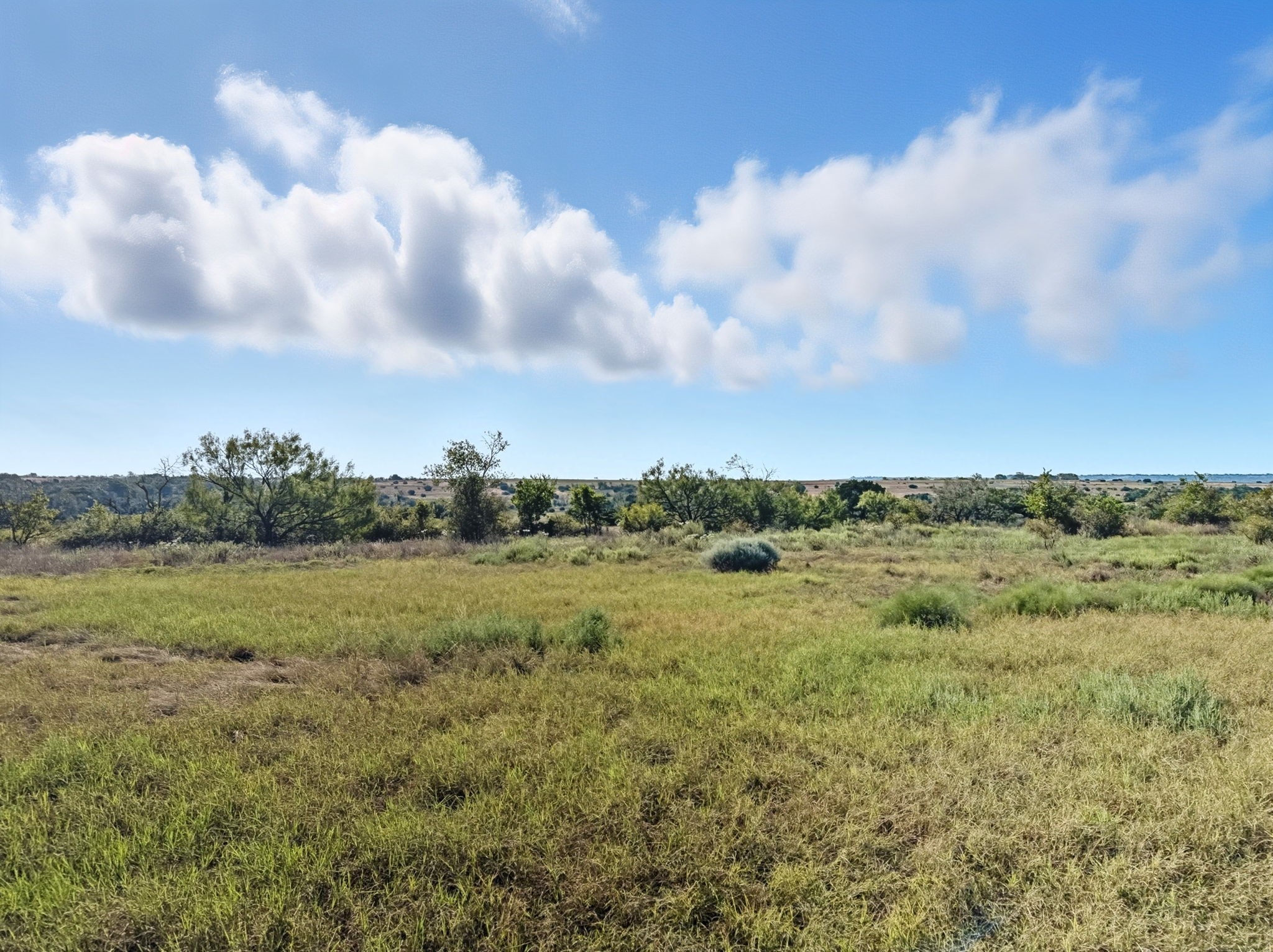 Tbd Fm 221 Pottsville TX 76565