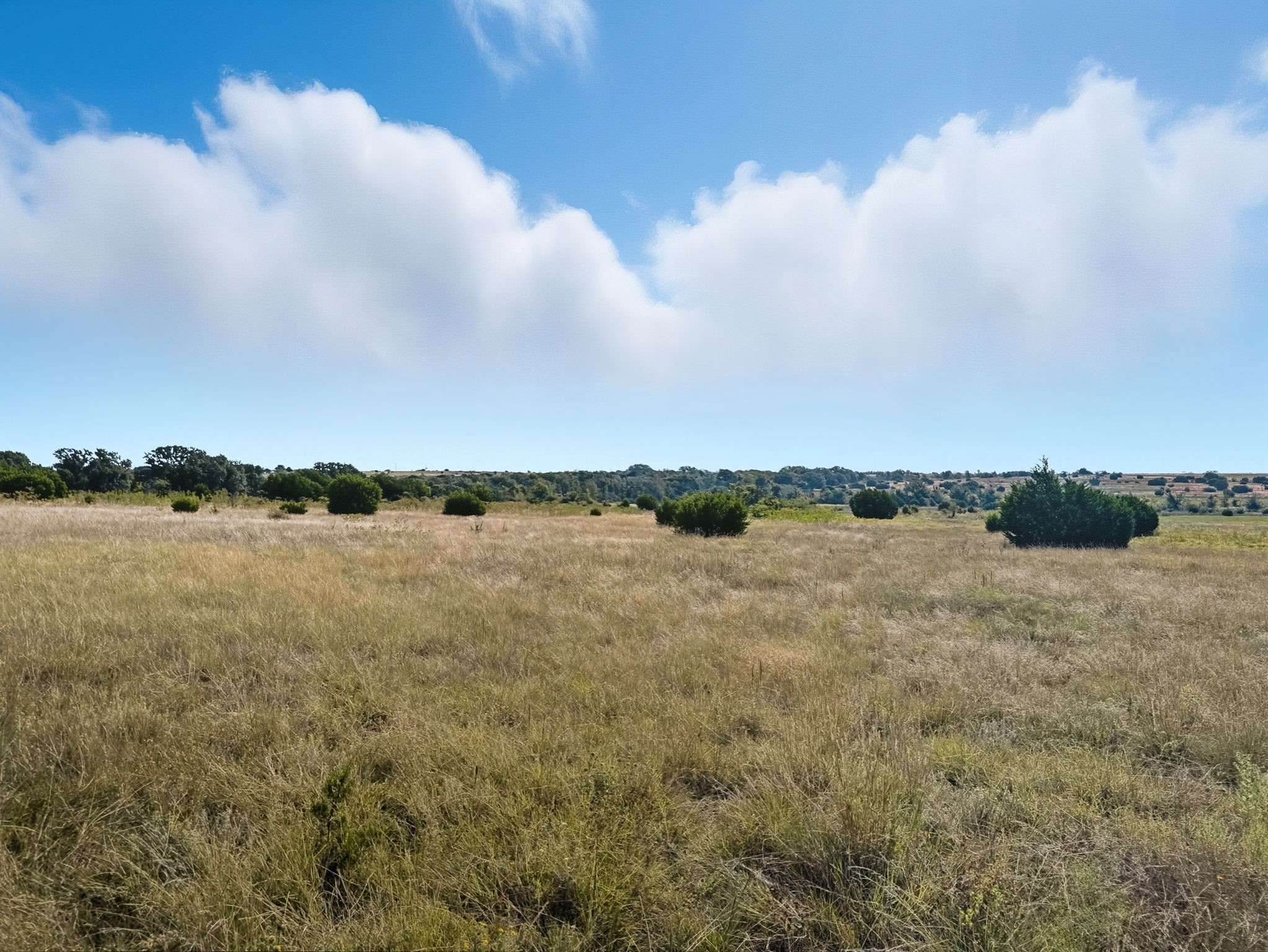 Tbd Fm 221 Pottsville TX 76565