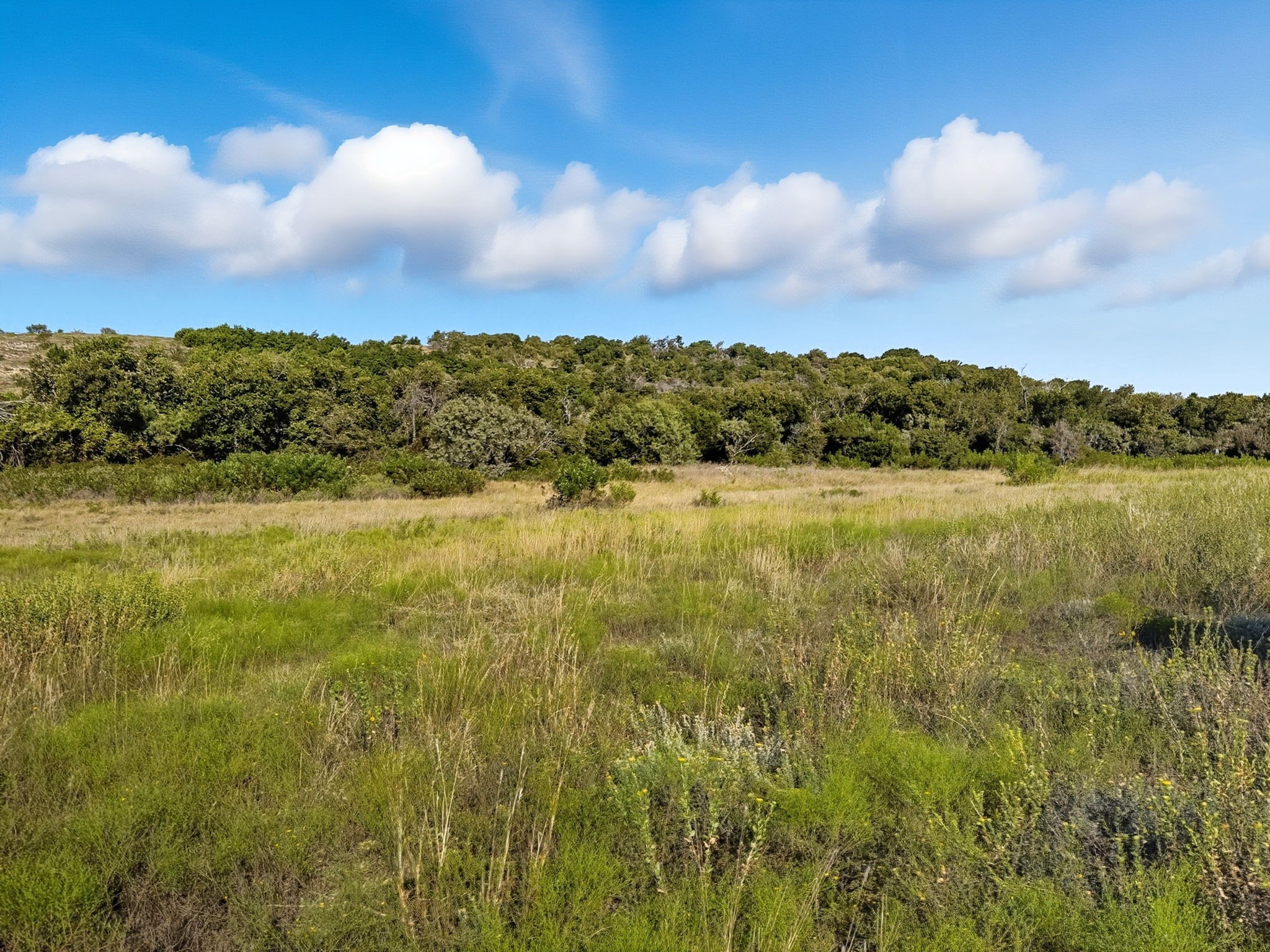 Tbd Fm 221 Pottsville TX 76565