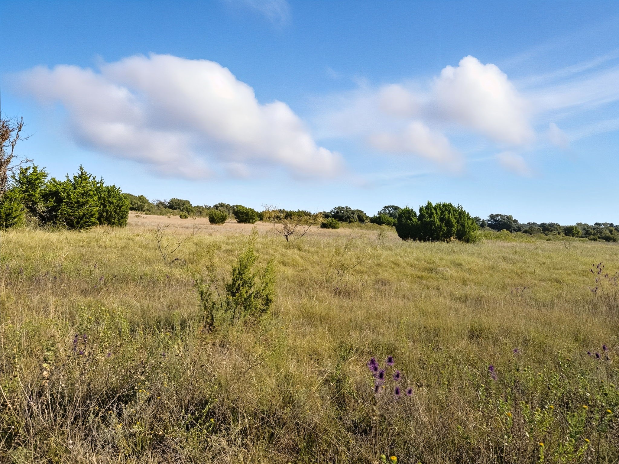 Tbd Fm 221 Pottsville TX 76565