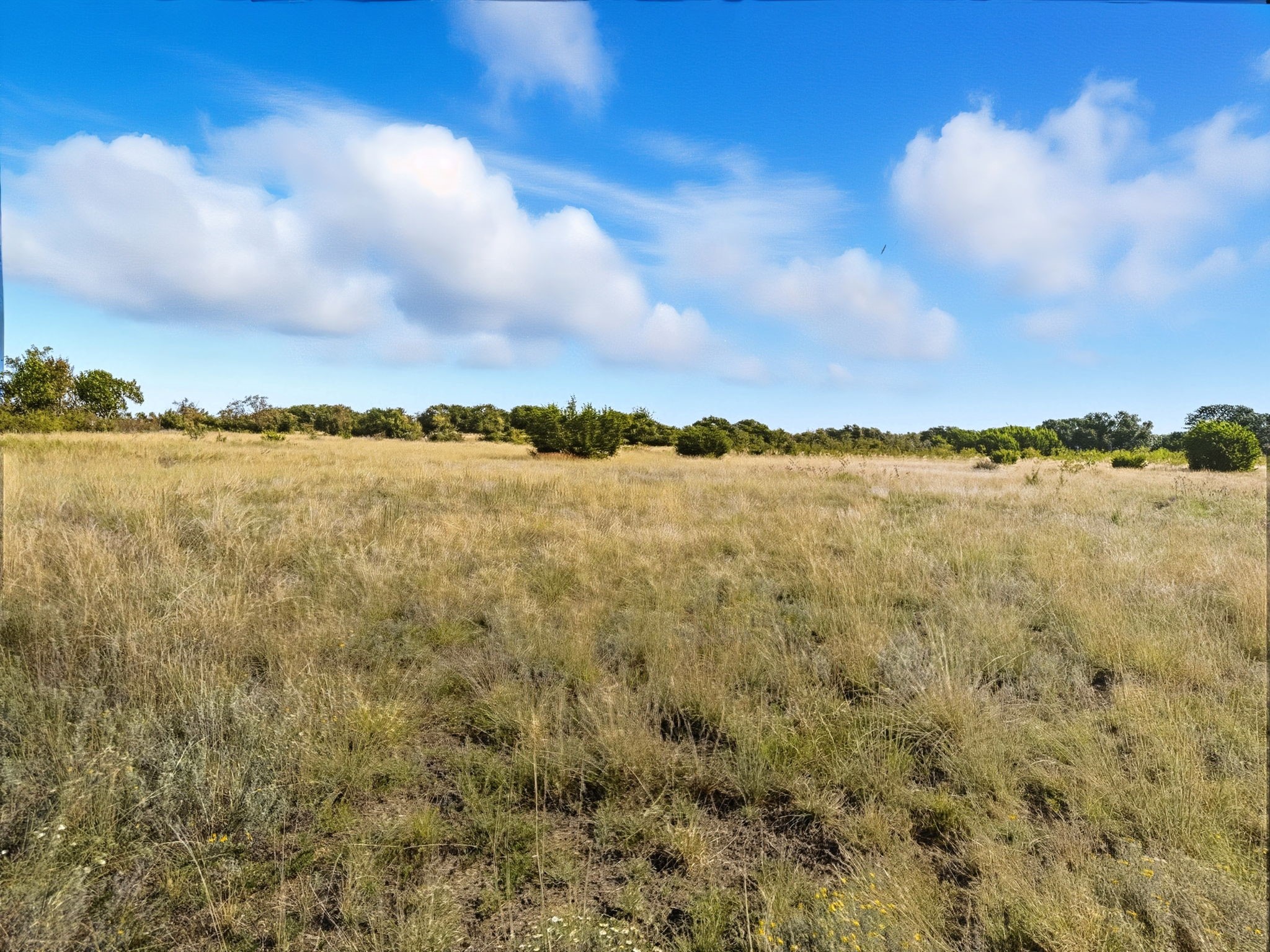 Tbd Fm 221 Pottsville TX 76565