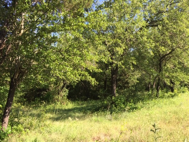 8513 Retreat Boulevard Cleburne TX 76033