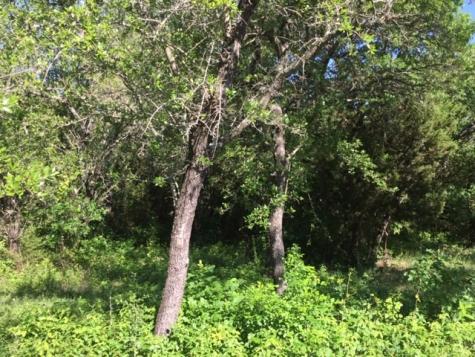 8513 Retreat Boulevard Cleburne TX 76033