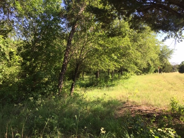 8513 Retreat Boulevard Cleburne TX 76033