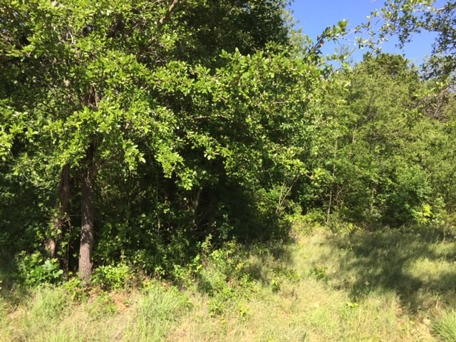 8513 Retreat Boulevard Cleburne TX 76033