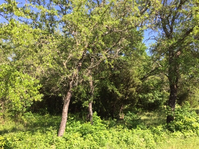 8513 Retreat Boulevard Cleburne TX 76033