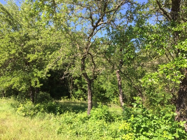 8513 Retreat Boulevard Cleburne TX 76033