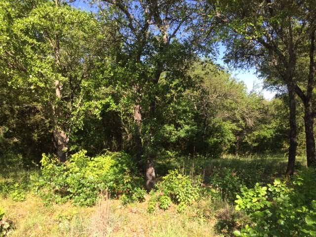 8513 Retreat Boulevard Cleburne TX 76033