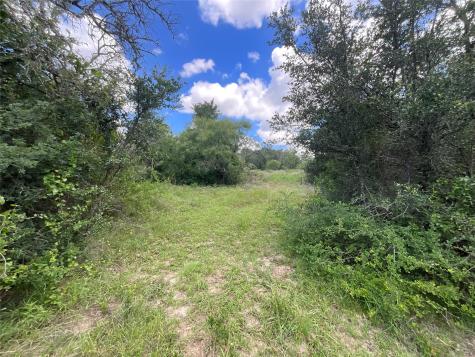 Tbd W Fm 2486 Gustine TX 76455