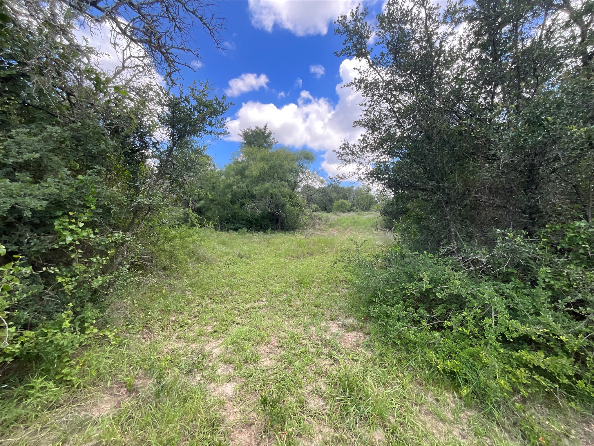 Tbd W Fm 2486 Gustine TX 76455