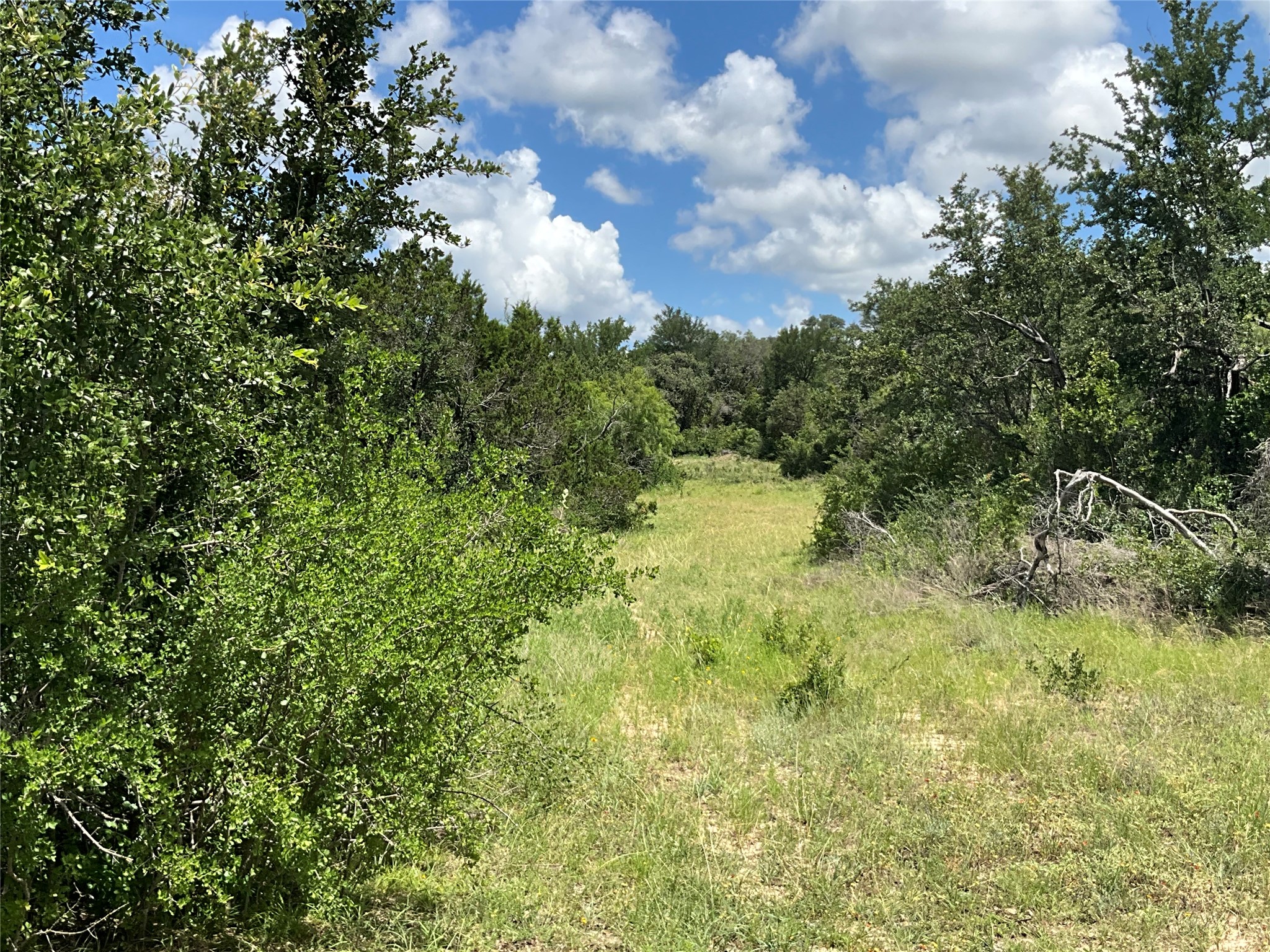 Tbd W Fm 2486 Gustine TX 76455
