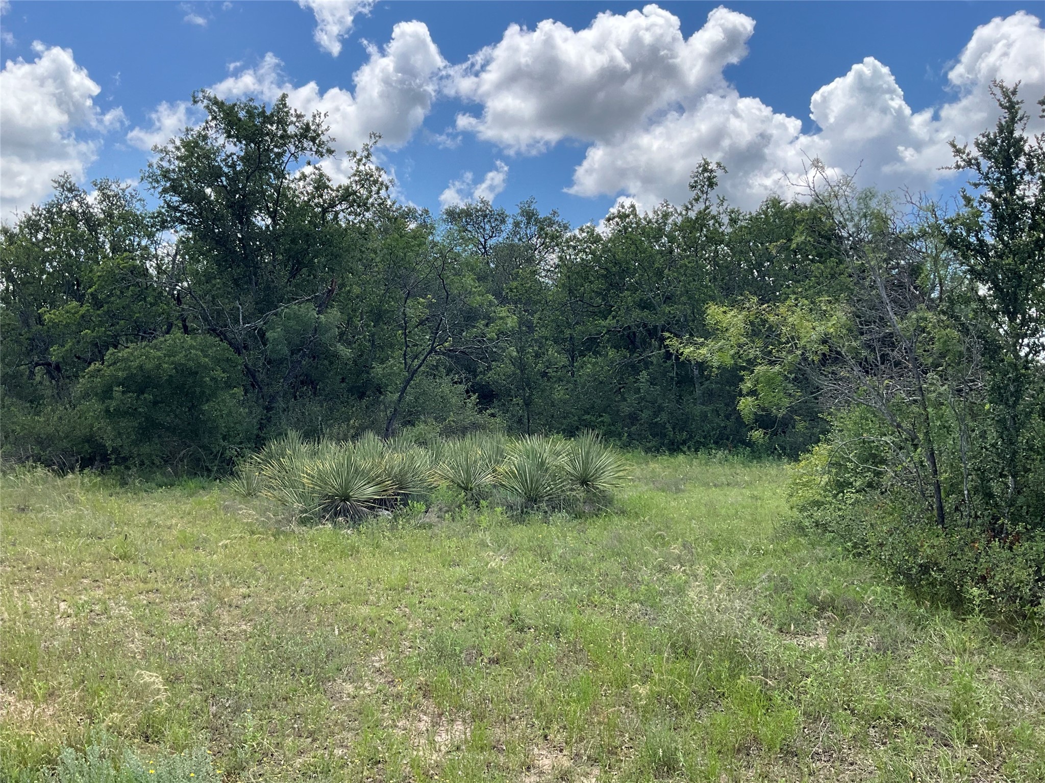 Tbd W Fm 2486 Gustine TX 76455