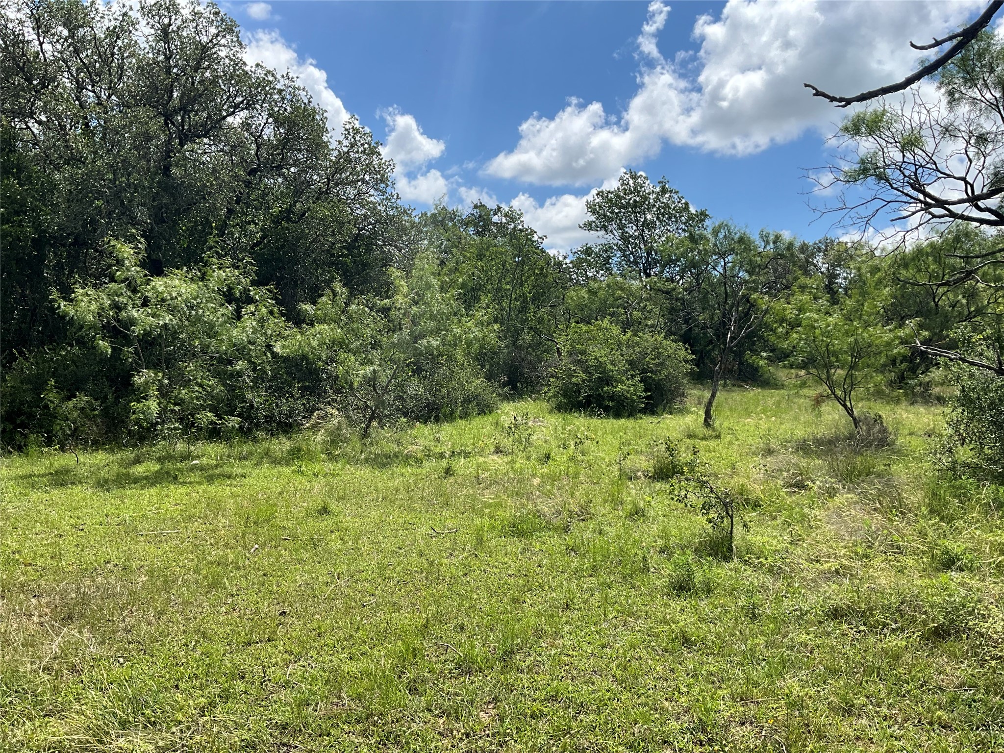 Tbd W Fm 2486 Gustine TX 76455