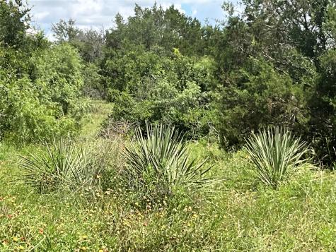 Tbd W Fm 2486 Gustine TX 76455