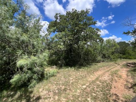 Tbd W Fm 2486 Gustine TX 76455
