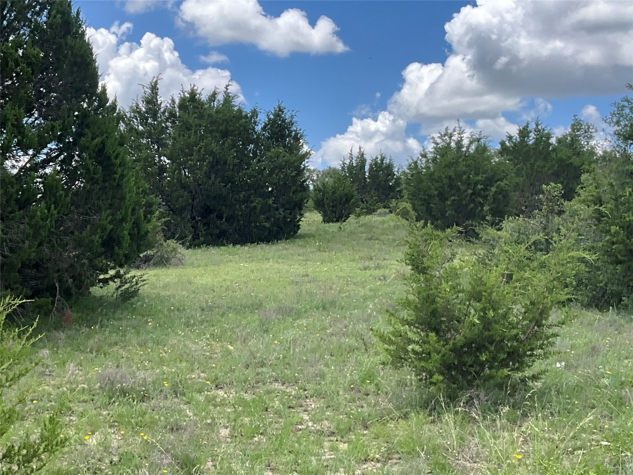 Tbd W Fm 2486 Gustine TX 76455