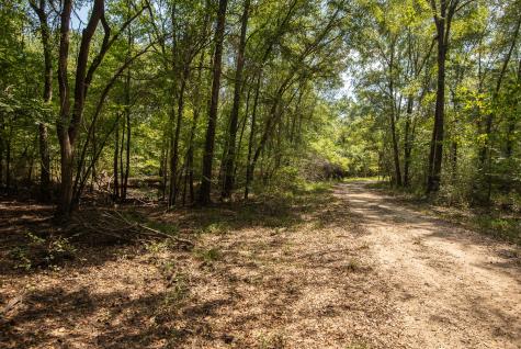 821 Gorman Oaks Big Sandy TX 75755