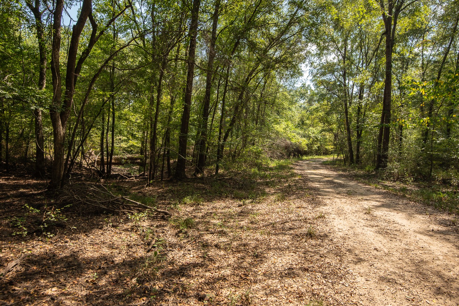 821 Gorman Oaks Big Sandy TX 75755
