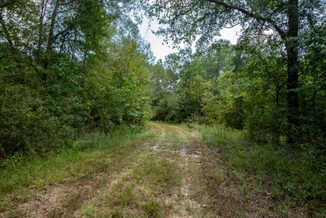 821 Gorman Oaks Big Sandy TX 75755