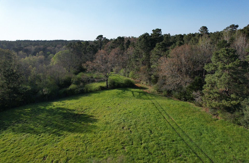 Tbd N County Road 143 San Augustine TX 75972