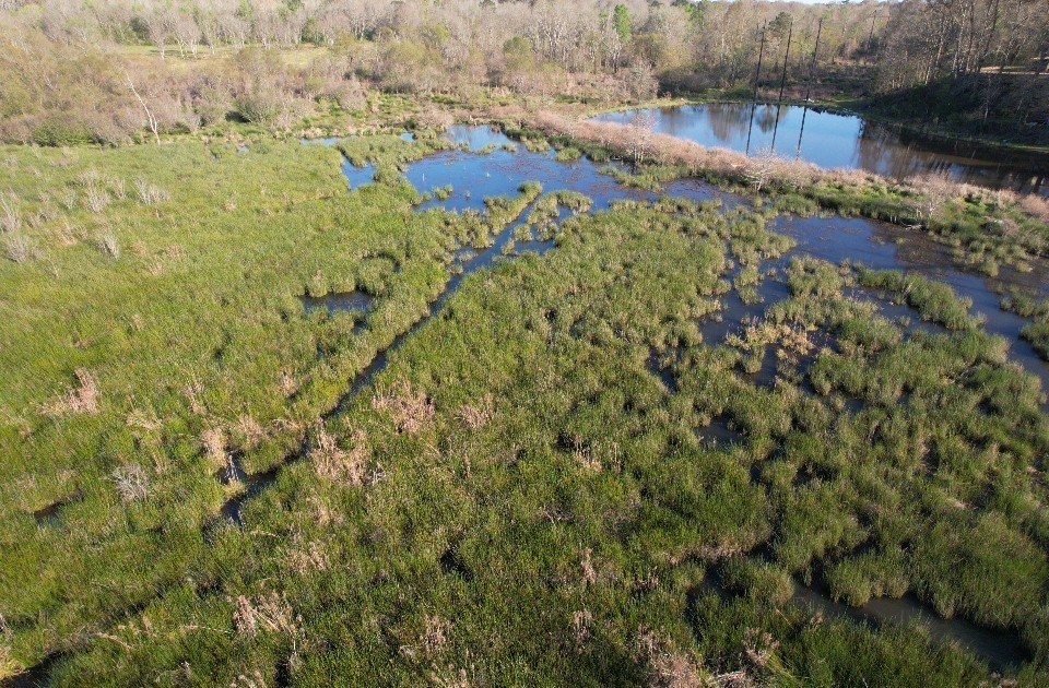 Tbd N County Road 143 San Augustine TX 75972