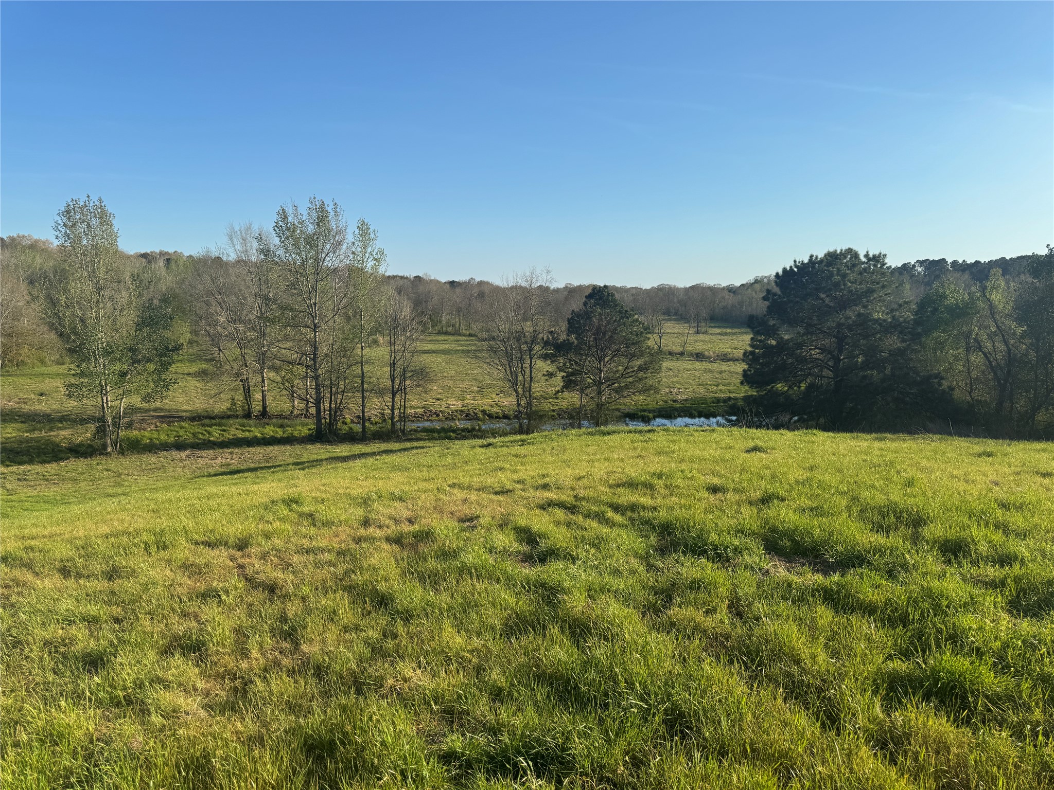 Tbd N County Road 143 San Augustine TX 75972