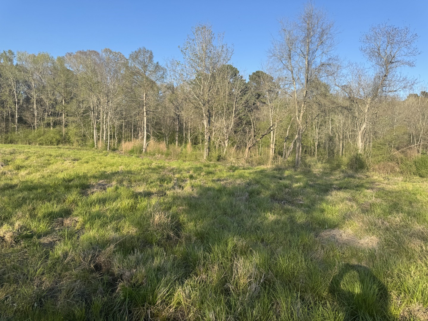 Tbd N County Road 143 San Augustine TX 75972