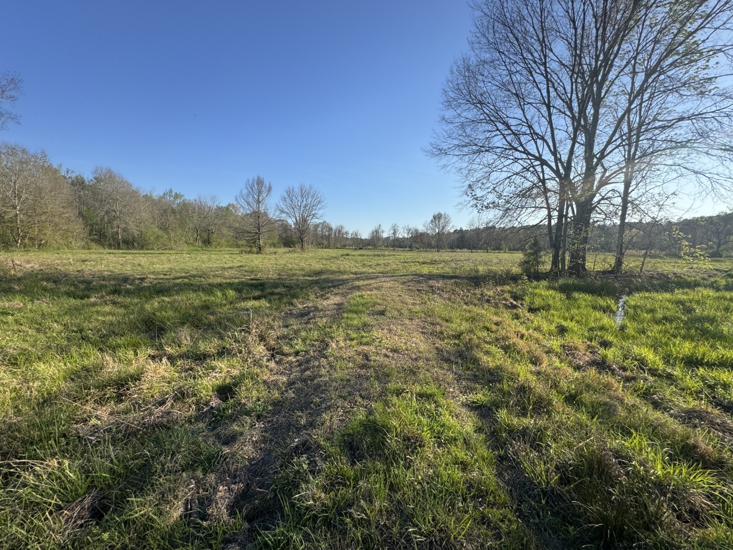 Tbd N County Road 143 San Augustine TX 75972