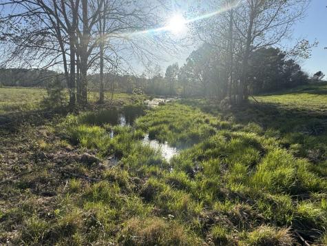 Tbd N County Road 143 San Augustine TX 75972