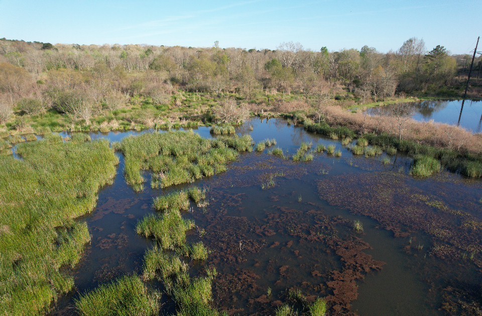 Tbd N County Road 143 San Augustine TX 75972
