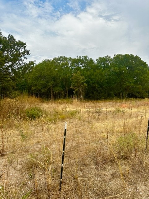 1 Tract 1 Private Road 3508 Bridgeport TX 76426