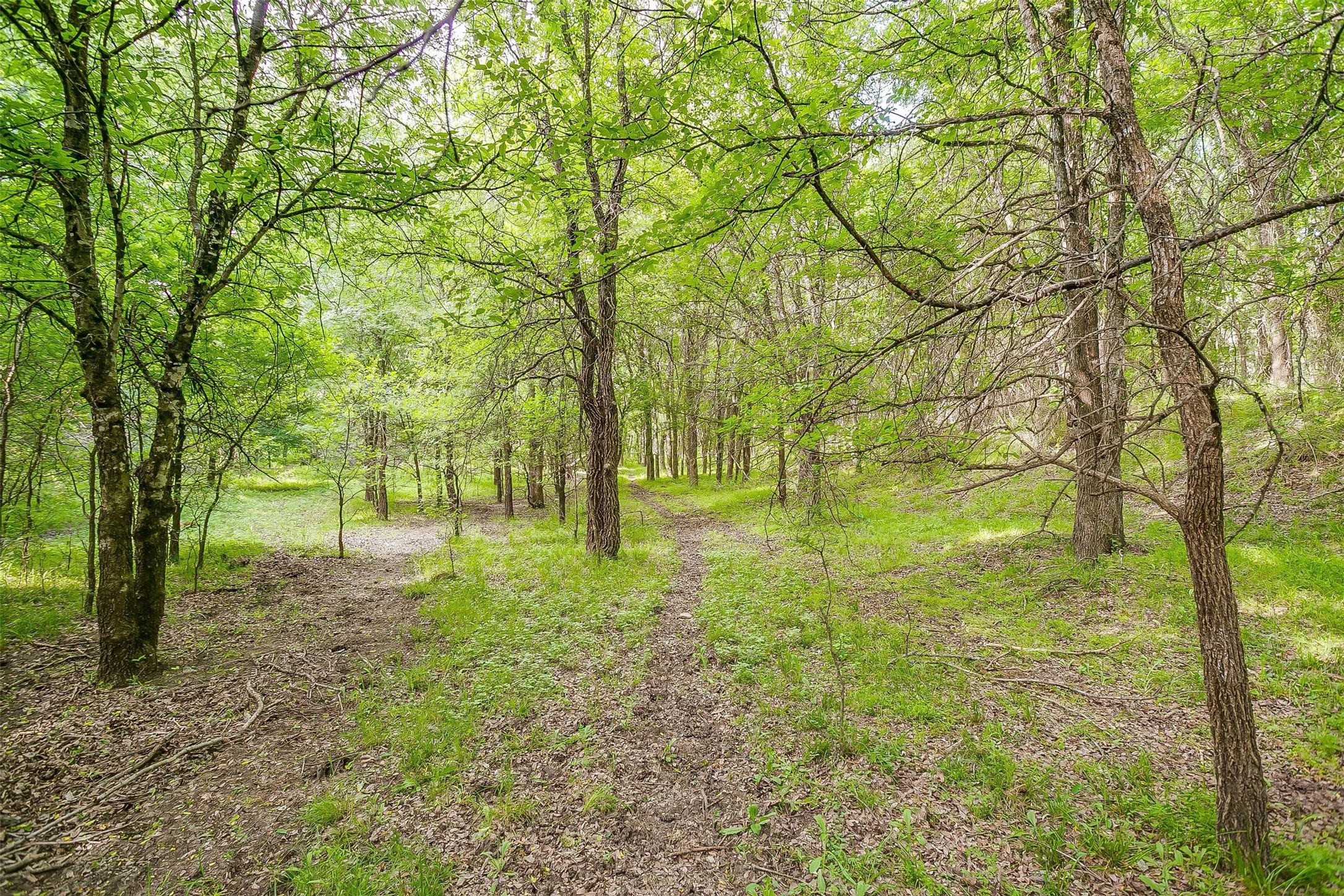 Tbd Tx-174 Blum TX 76627