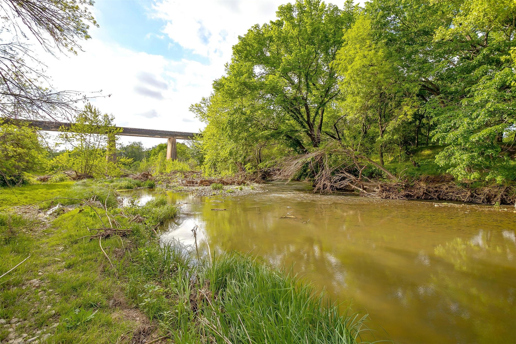 Tbd Tx-174 Blum TX 76627