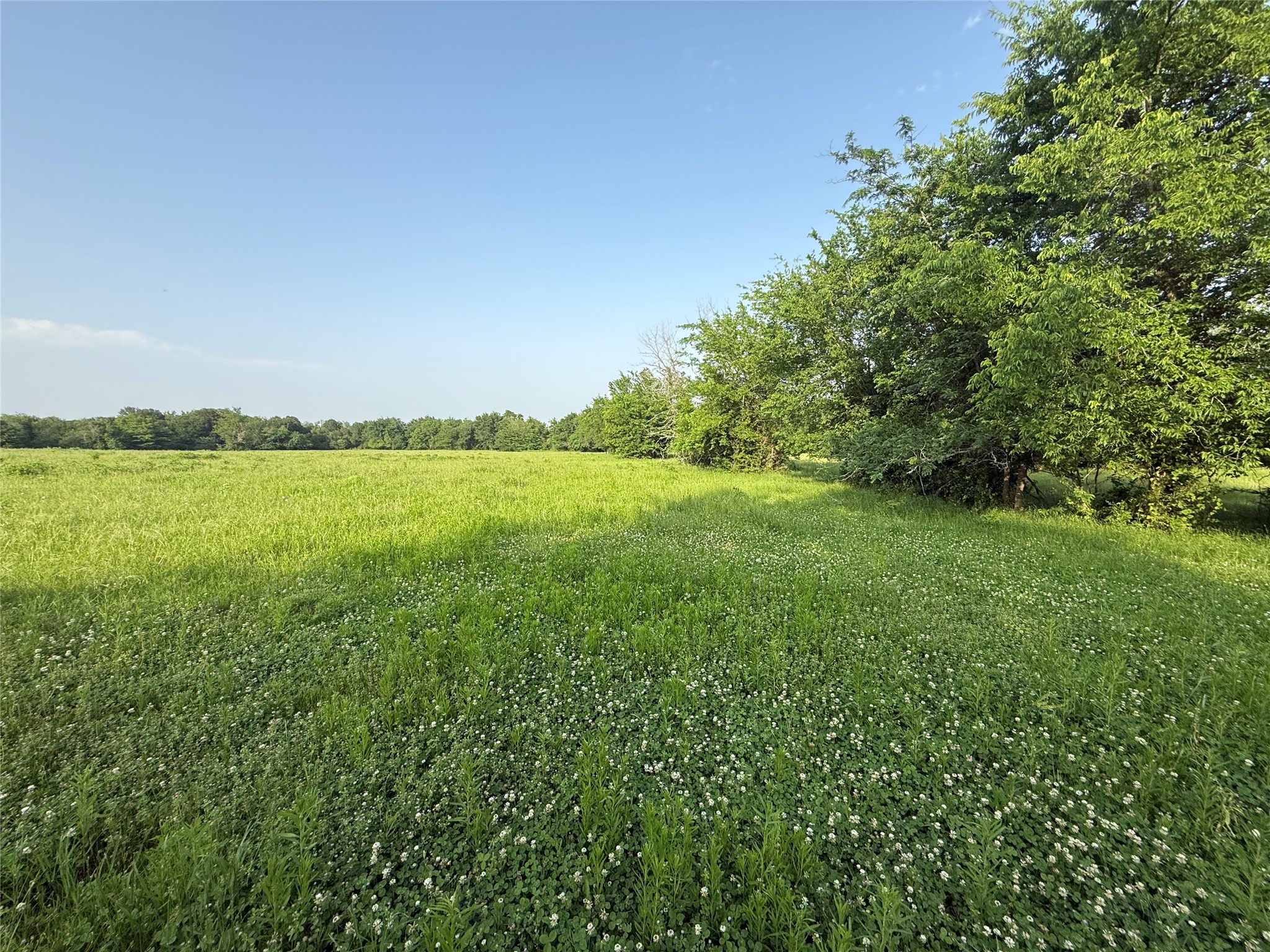 0000 Tbd N County Road 3528 Saltillo TX 75478