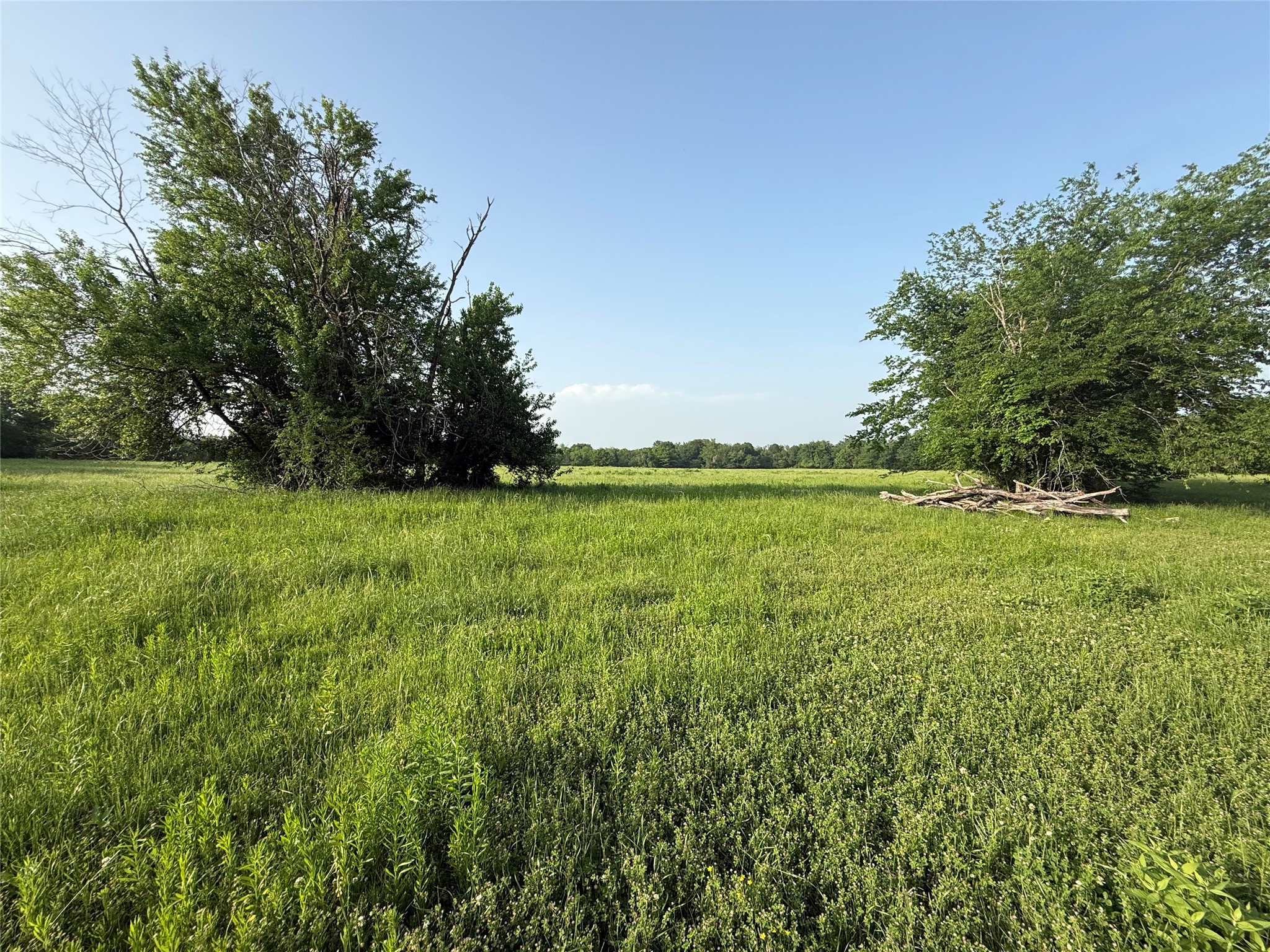 0000 Tbd N County Road 3528 Saltillo TX 75478