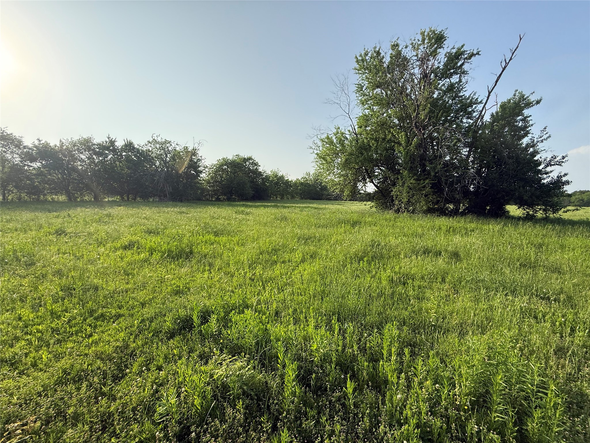 0000 Tbd N County Road 3528 Saltillo TX 75478