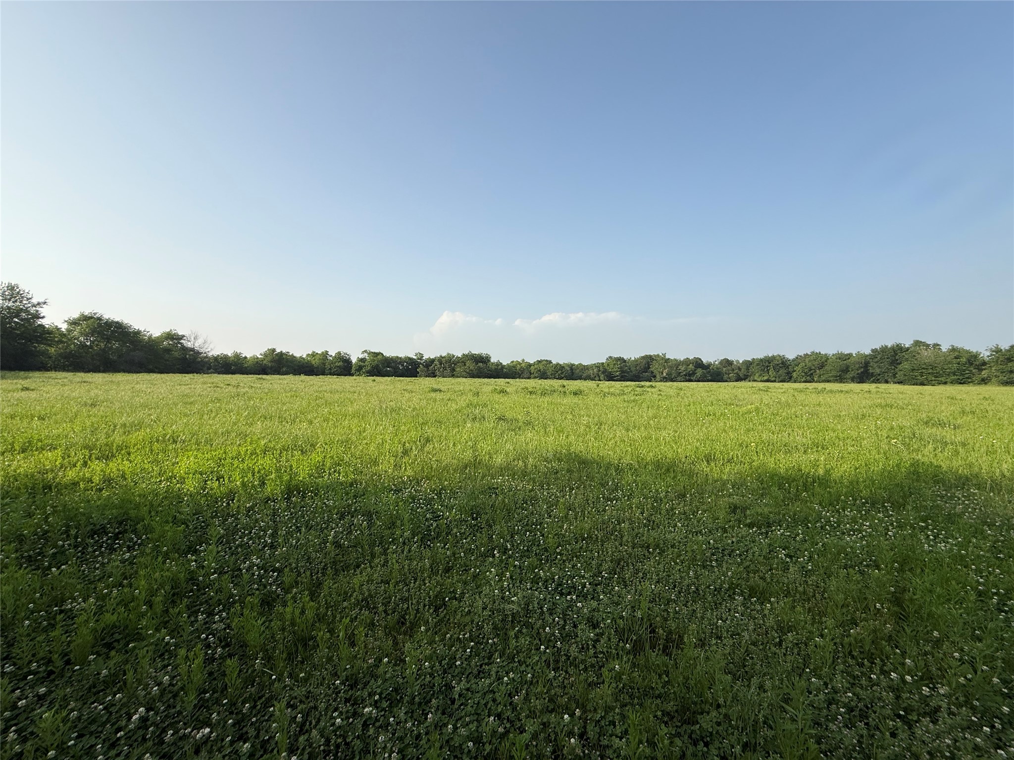 0000 Tbd N County Road 3528 Saltillo TX 75478