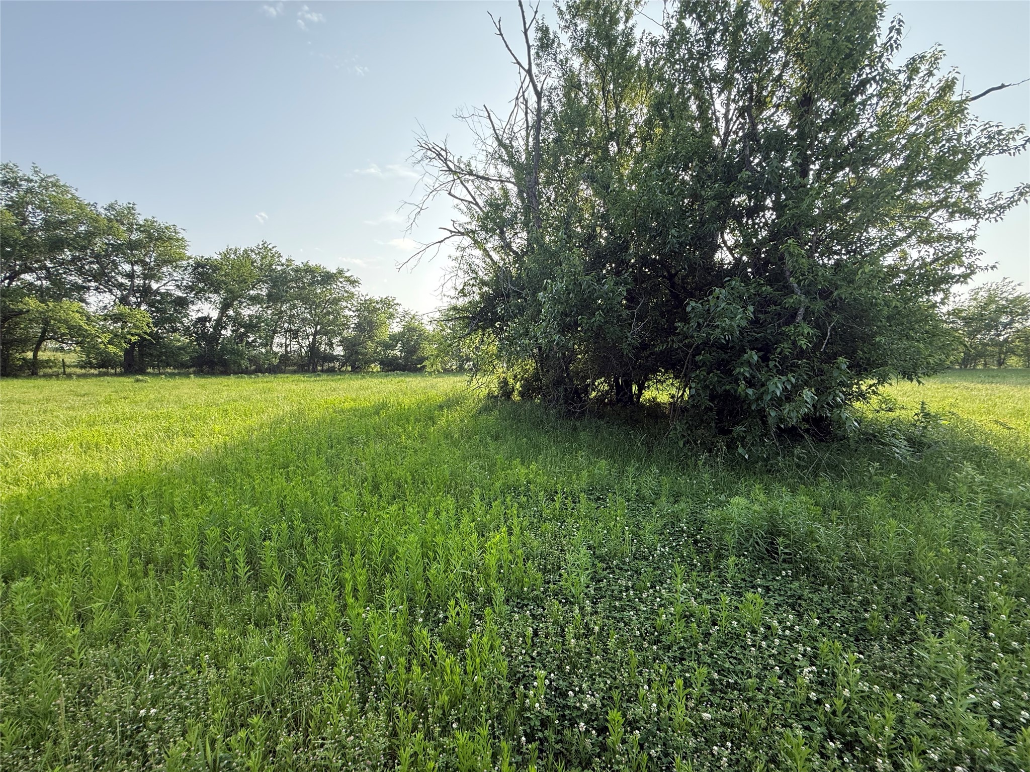 0000 Tbd N County Road 3528 Saltillo TX 75478