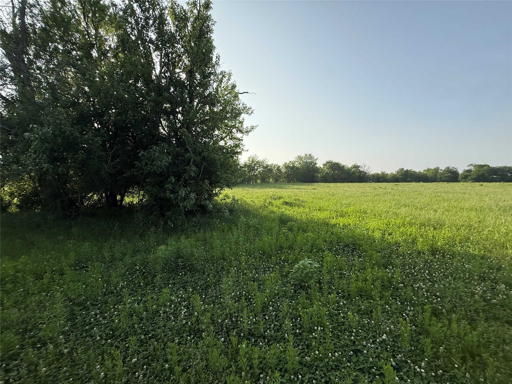 0000 Tbd N County Road 3528 Saltillo TX 75478