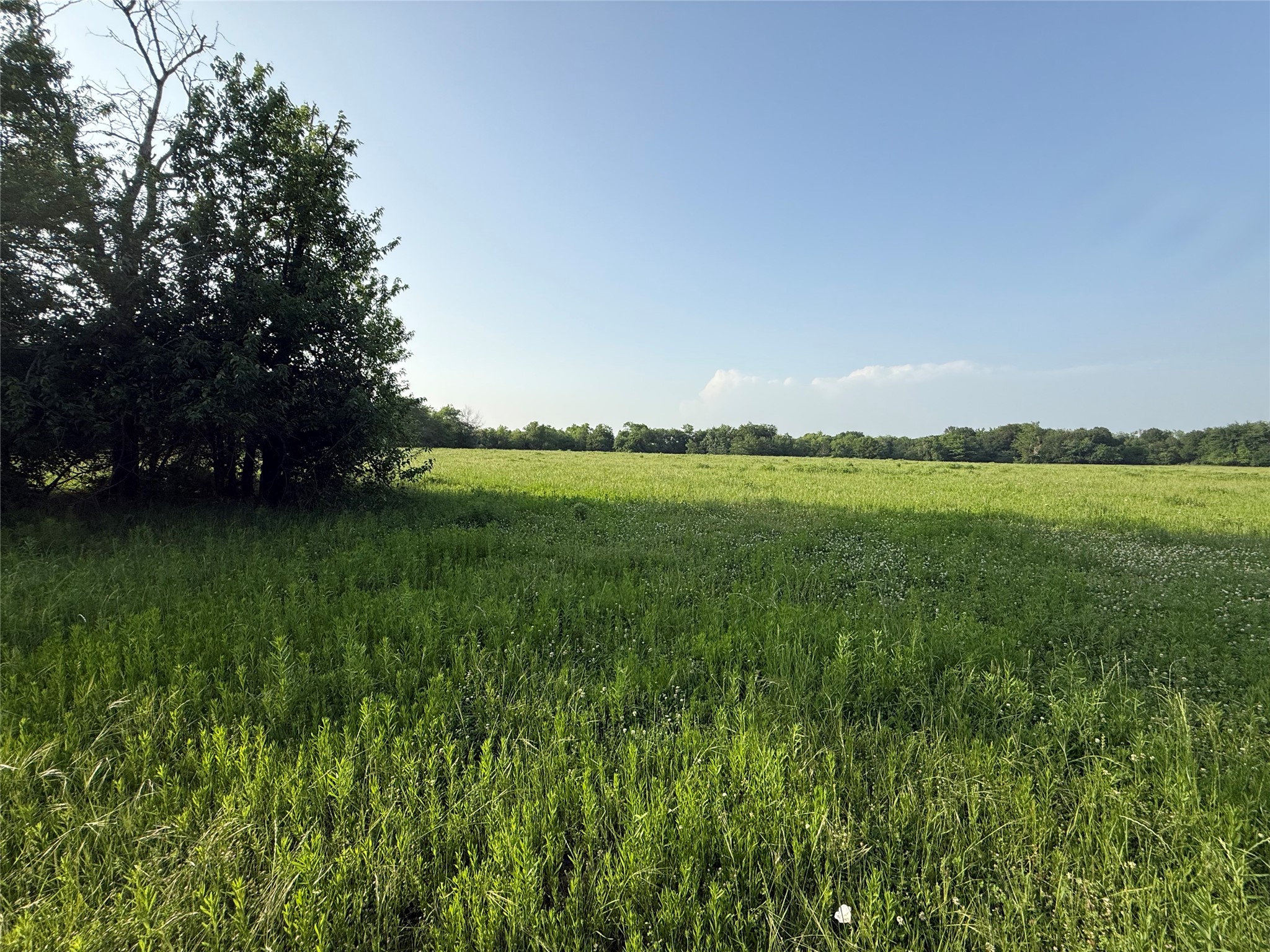 0000 Tbd N County Road 3528 Saltillo TX 75478
