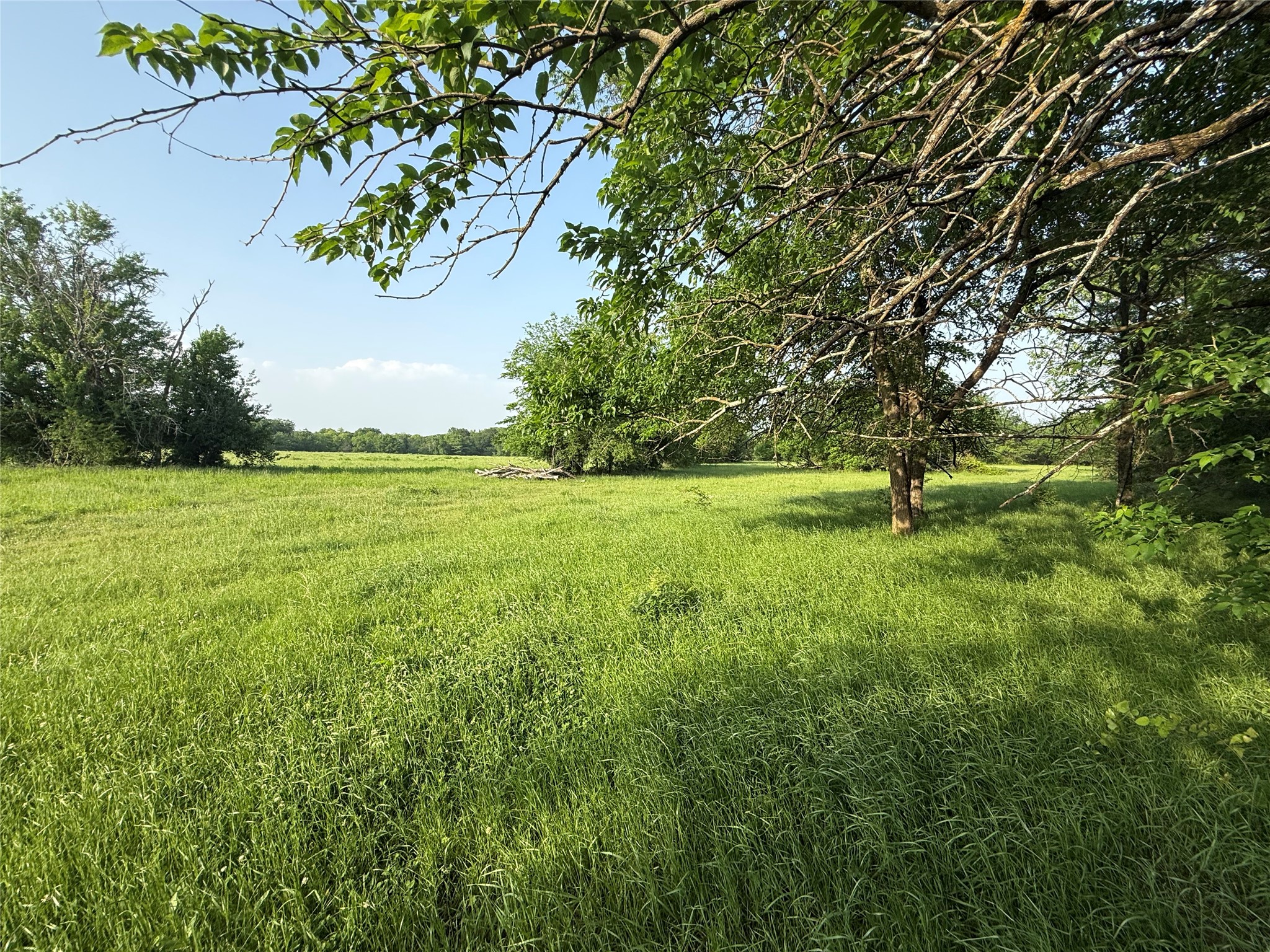 0000 Tbd N County Road 3528 Saltillo TX 75478