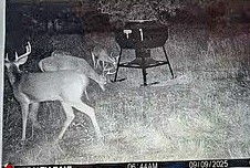 4480 Cen Tex Loop Temple TX 76501